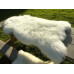 Белая овечья шкура с густой шерстью средней длинны